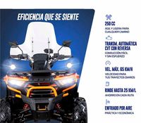 Imagen en miniatura del producto